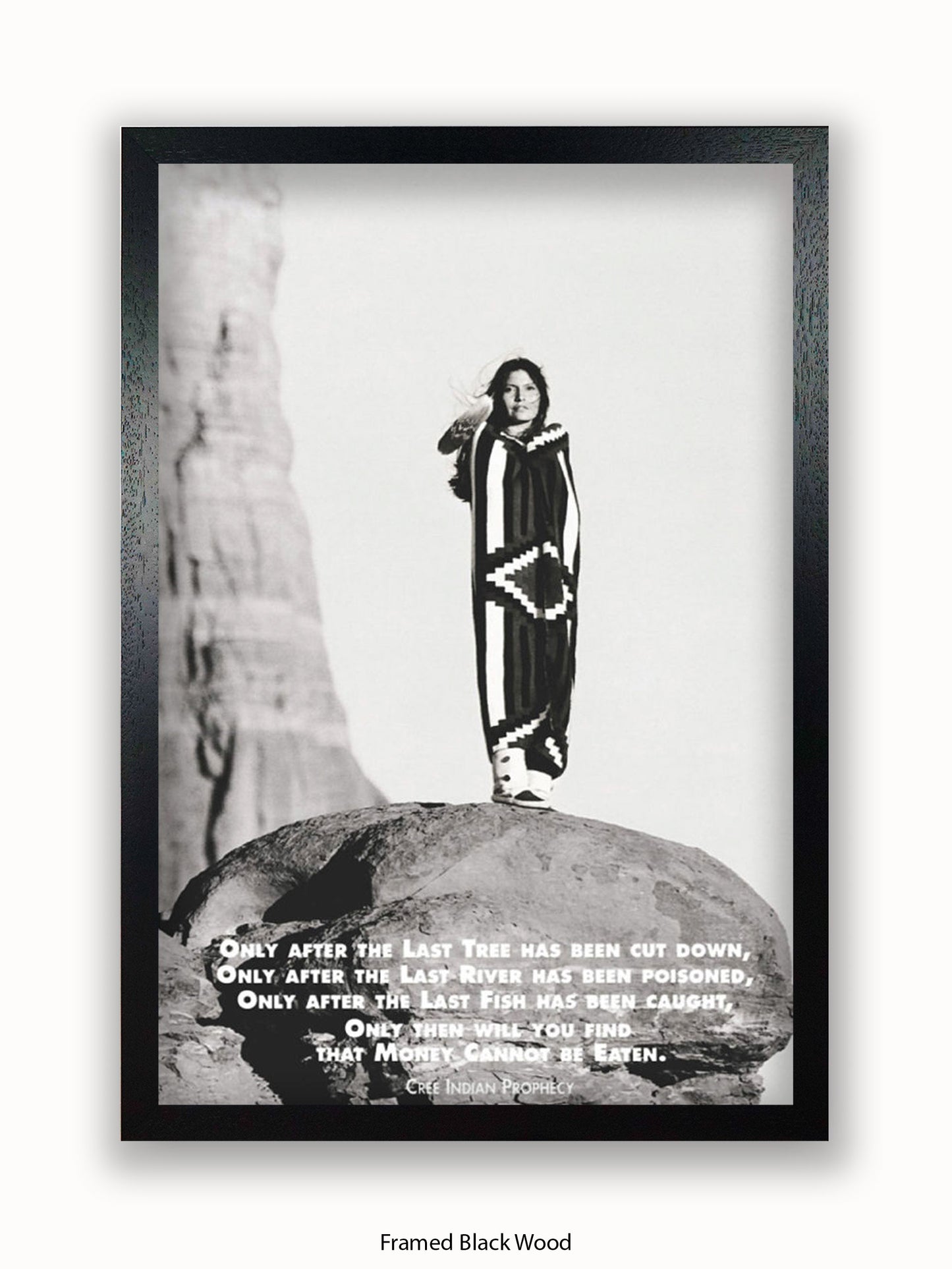 Indian Prophecy Woman Poster