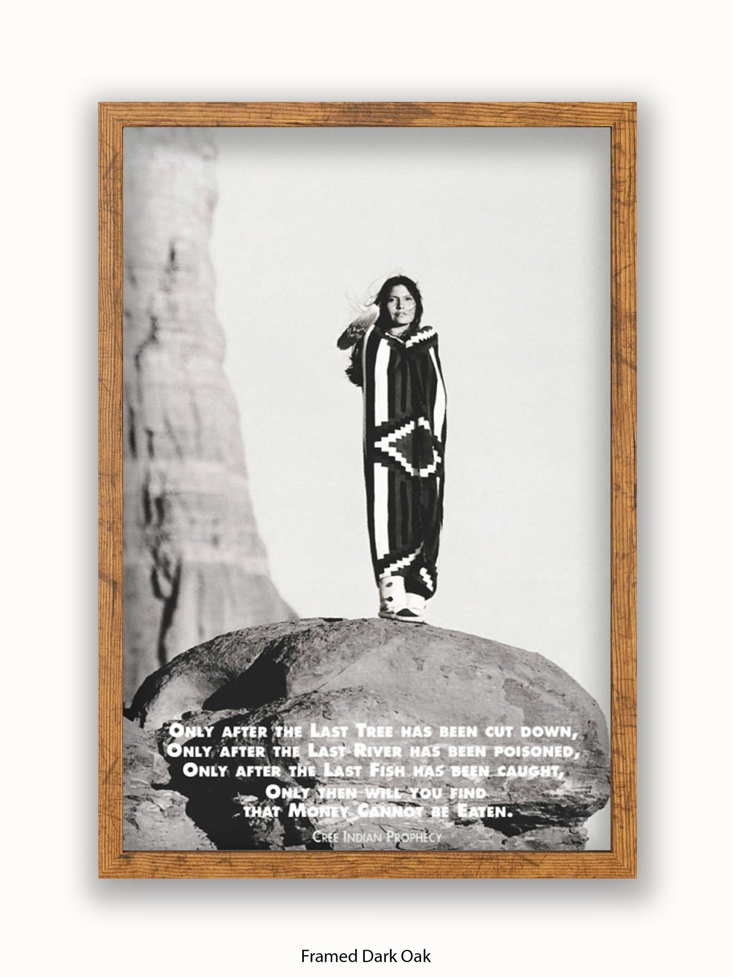 Indian Prophecy Woman Poster